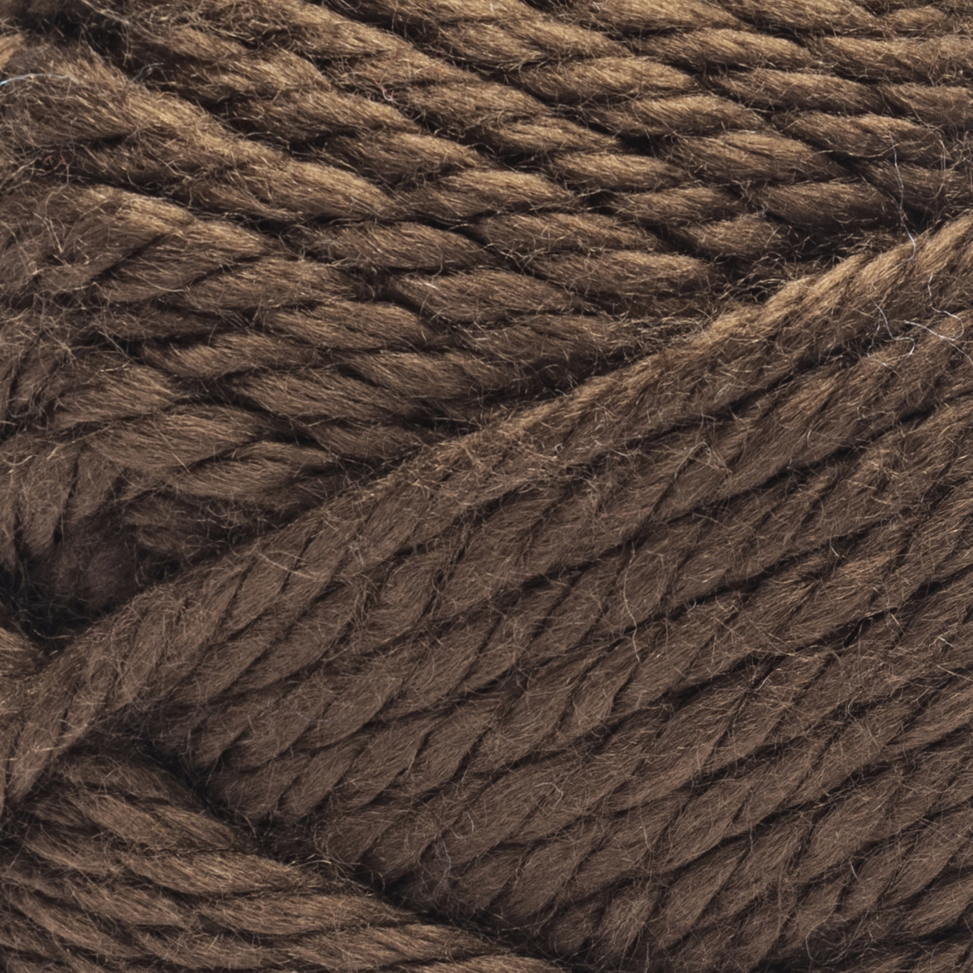 Bernat® Homebody™ #6 Super Bulky Acrylic Yarn, Sequoia Bark 5oz/142g 85 Yards