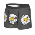 thumbnail image 2 of Kll Keep Life Simple Daisy Flower Men'S Cotton Boxer Briefs Underwear-Xx-Large, 2 of 9