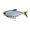 Blue Shiner, variant on 6th Sense – The Option Harness-Style Swimbait, Interchangeable Treble Rigging, Multi-Size