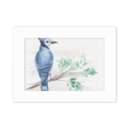 thumbnail image 1 of Branch Blue Parrot Photo Mount Frame Picture Art Painting Desktop 5x7 inch, 1 of 3