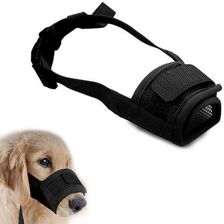 Online dog accessories store hotsell