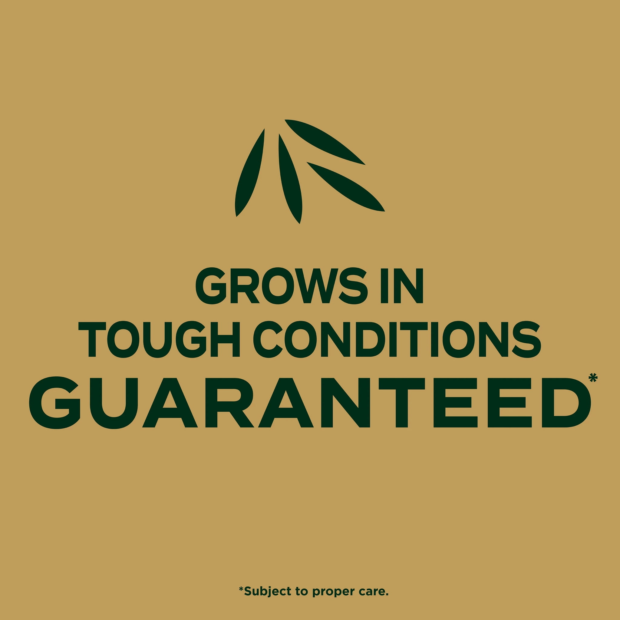 Scotts® EZ Seed® Patch and Repair Zoysia Grass, Mulch, Seed and Fertilizer, 3.75 lbs.