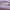 Purple, variant on Avia Women's Slim Runner Sneakers
