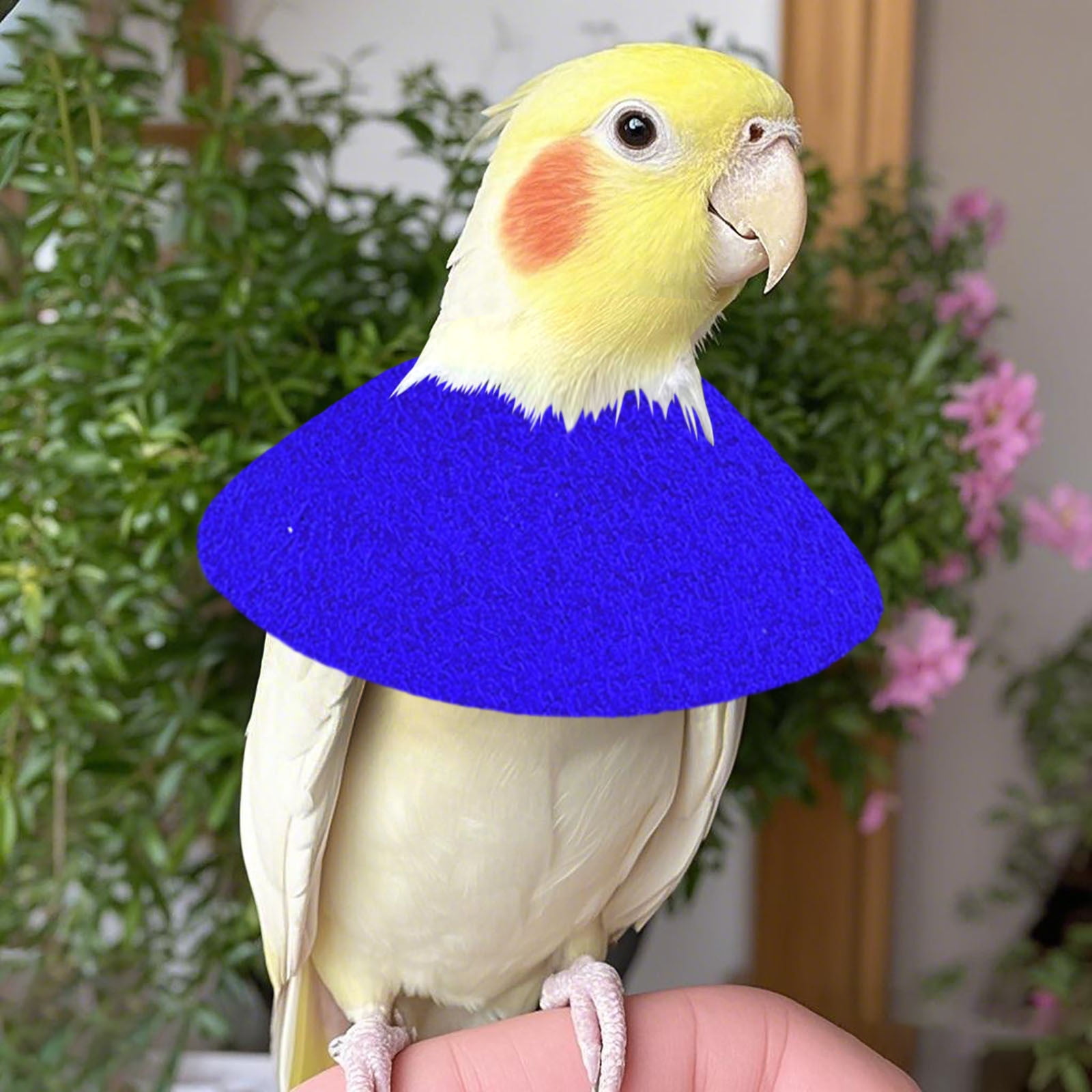 Pet Parrot E Collars Feather Plucking Collar Protective Recovery