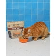 thumbnail image 4 of Boss Nation 9 oz Freeze Dried, Chicken Cat Food, 4 of 8