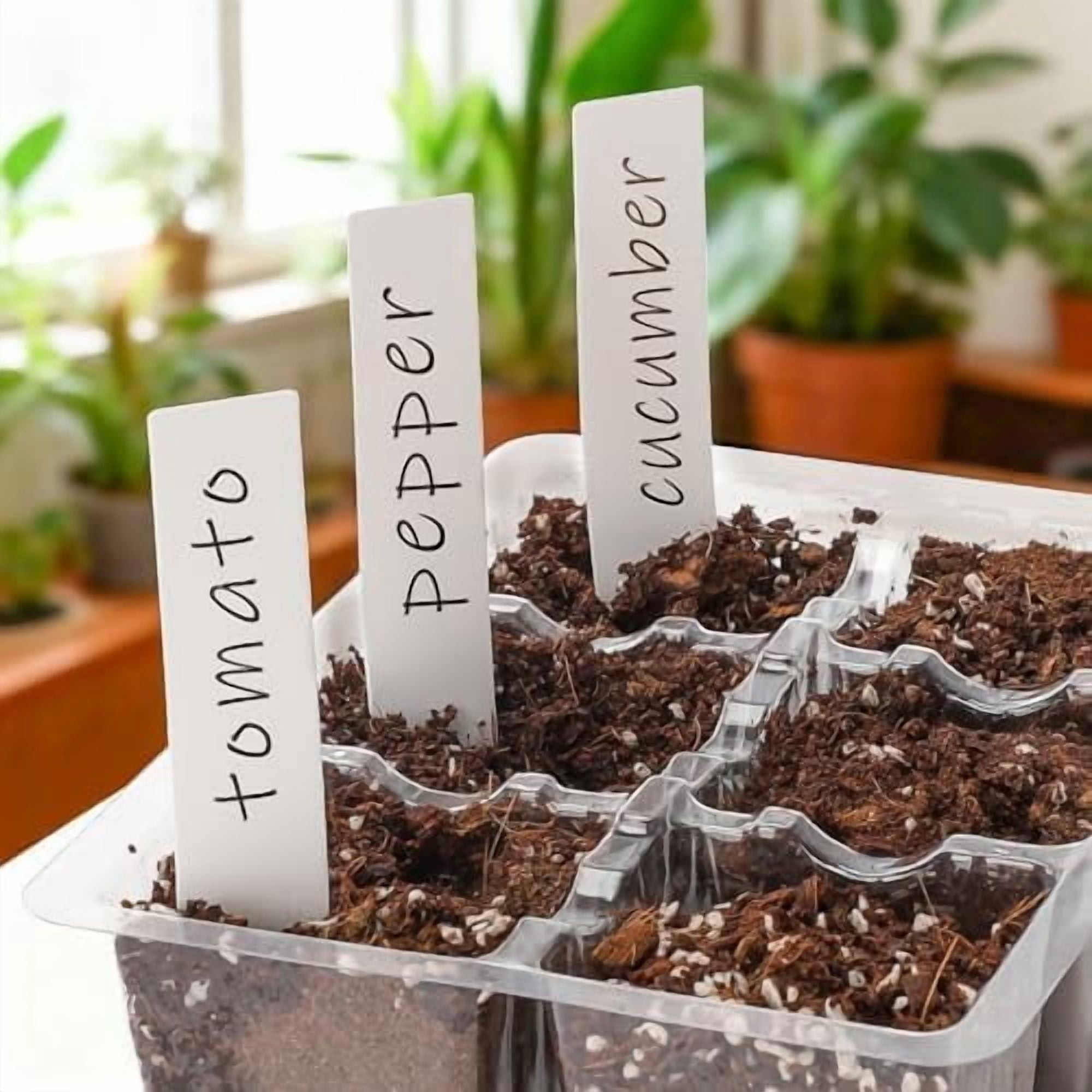 10 Packs Seed Starter Tray with Drainage Holes, Reusable & Durable, Clear for Root Monitoring, Easy to Repotted Without Root Damage, 6 Cells per Tray