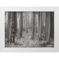 thumbnail image 3 of Vitaly Geyman 18x14 White Modern Wood Framed Wall Art Titled - Pine Tree Grove II BandW, 3 of 5