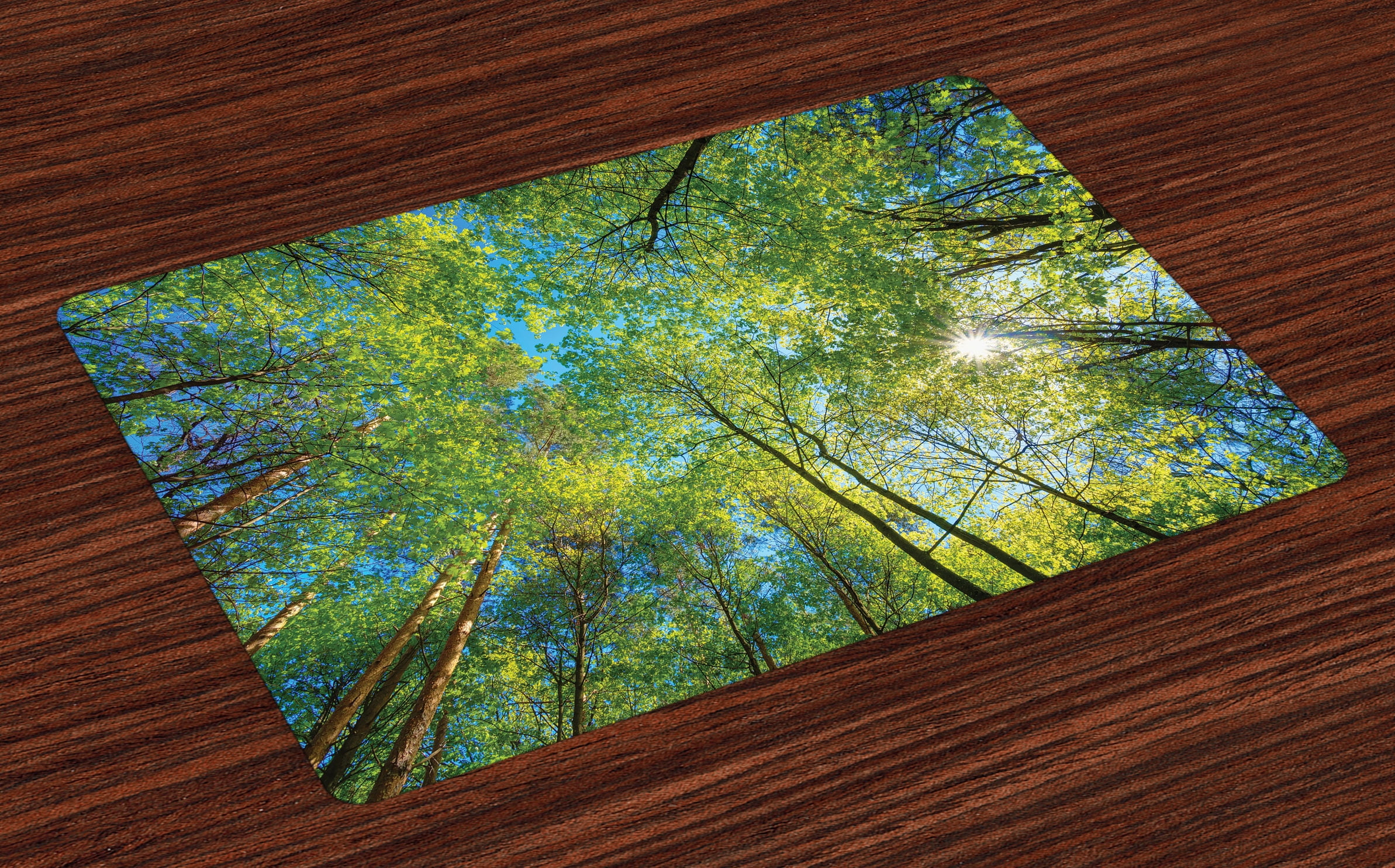 Forest Placemats Set of 4 Evergreen Back Nature Area Mother Earth Lime