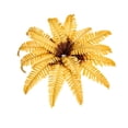 thumbnail image 2 of Artificial Grass Persian Fern Plant Wall Decorative Wall Hanging, 2 of 6