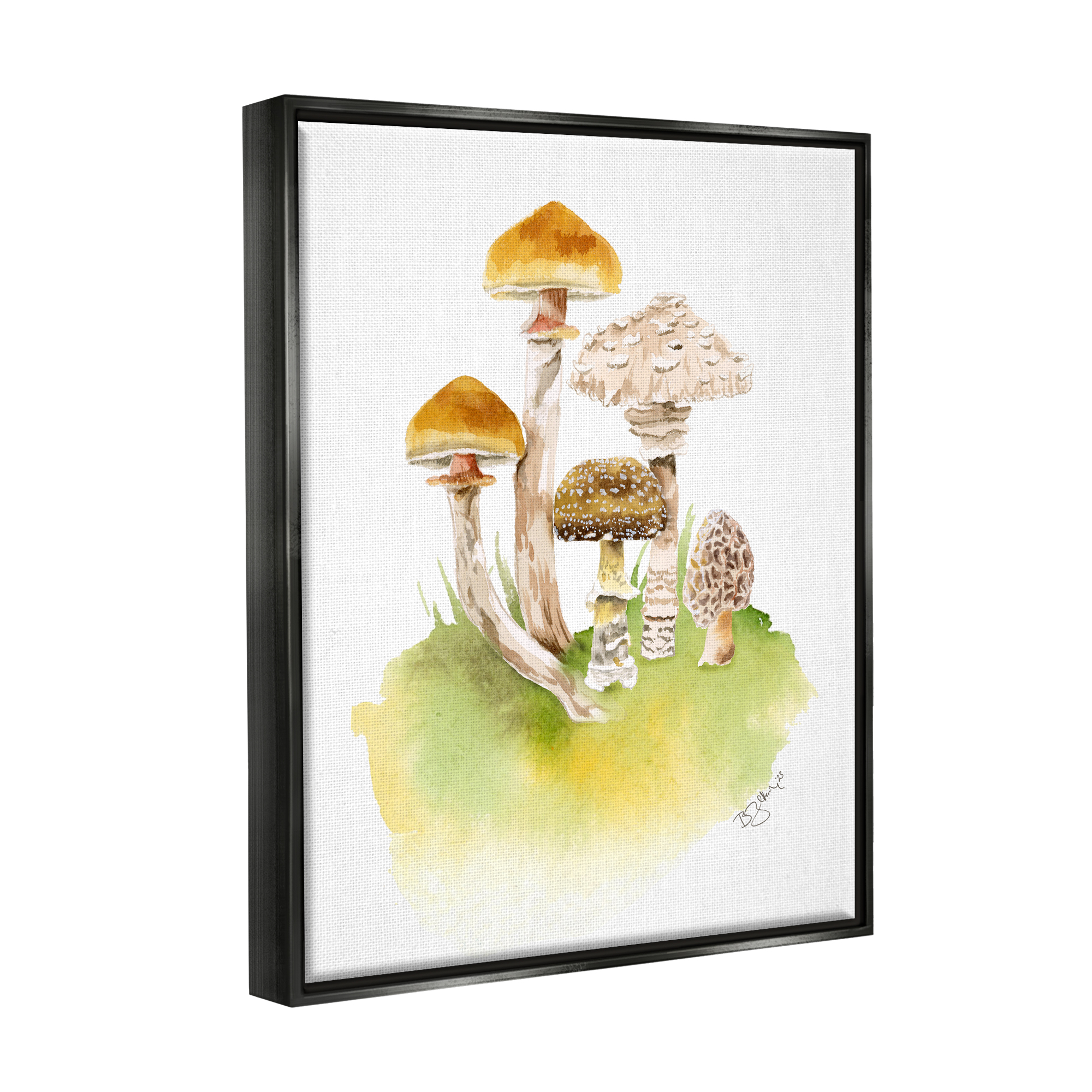 Stupell Industries Sprouting Brown Mushrooms Botanical & Floral Painting Black Floater Framed Canvas Art Print Wall Art, 17 x 21