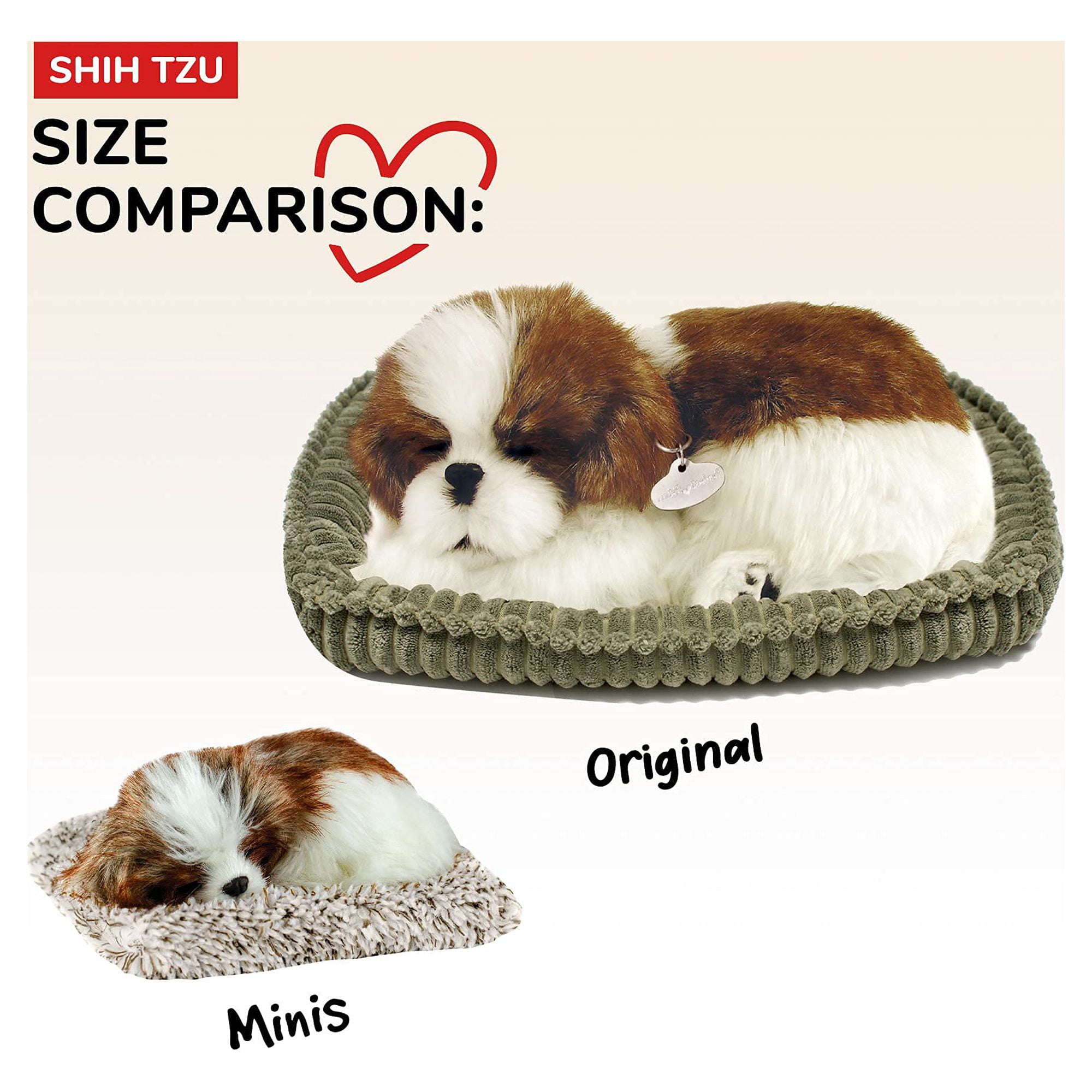 The Best Toys for Shih Tzu Puppies and Dogs