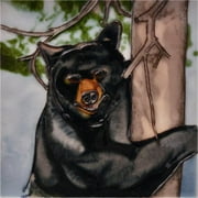 En Vogue H-31 6 x 6 in. Black Bear, Decorative Ceramic Art Tile