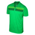 thumbnail image 2 of Men's Colosseum Green Oregon Ducks Langmore Polo, 2 of 3