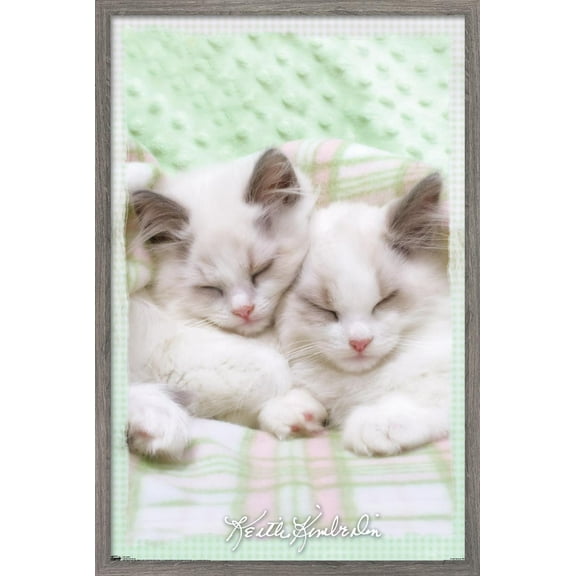 Keith Kimberlin - Kitten 09 Wall Poster, 22.375" x 34" Framed