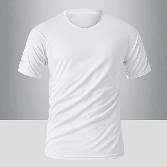 Vetsdori Men's Quick Dry Shirt with Round Neck Short Sleeve in Standard Fit for Athletic Activities