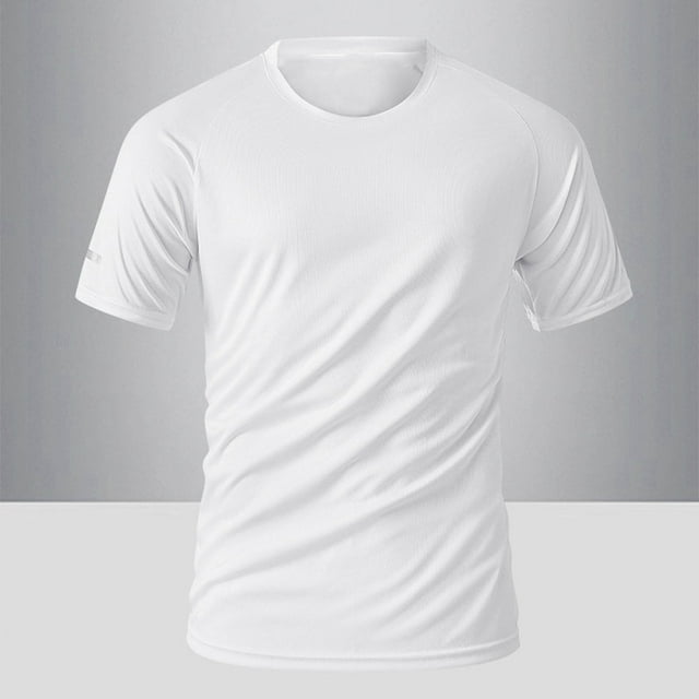 Ceisia Men's Slim Fit Short Sleeve Sports T-Shirt Quick Dry Breathable For Running Spring Summer Shirt Gift