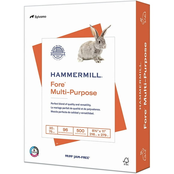 Hammermill Printer Paper, Fore Multipurpose 20 lb Copy Paper, 8.5 x 11 - 1 Ream (500 Sheets) - 96 Bright, Made in