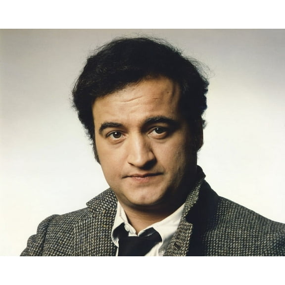 John Belushi Comedy Legend Portrait 24X36 Classic Hollywood Poster