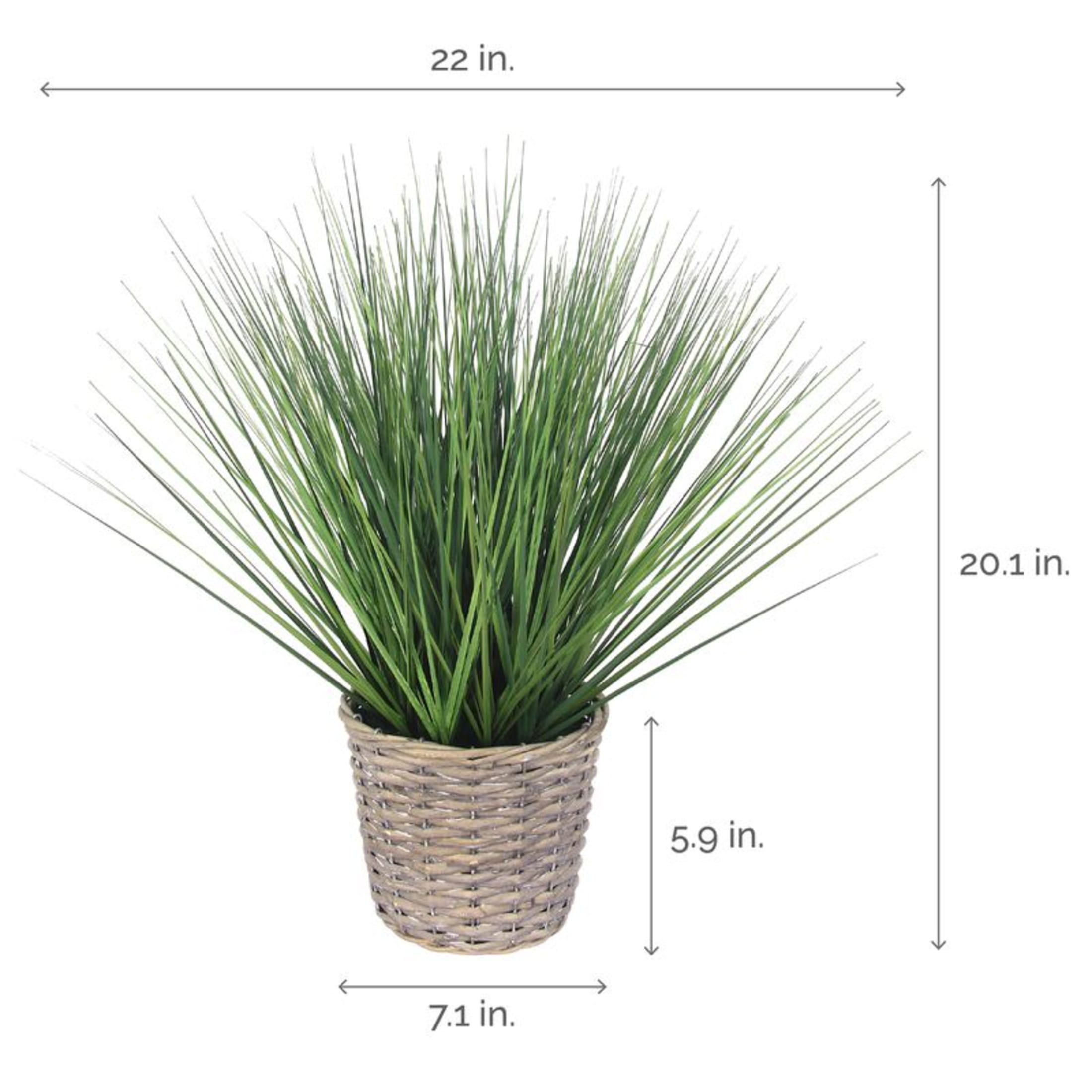 Elements 20-inch Grass in Gray Willow Basket, Green
