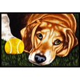 thumbnail image 1 of Carolines Treasures AMB1358MAT Have Ball Will Travel Beagle Indoor or Outdoor Mat- 18 x 27, 1 of 4
