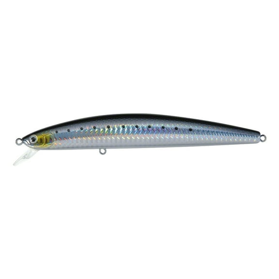 Daiwa Salt Pro SP Minnow Bullet Sinking Lure, 6", Laser Sardine