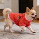thumbnail image 4 of Ropa de invierno para mascotas de dos patas, cálida, suave y acogedora, para perros pequeños, medianos y gatos, para uso en interiores y exteriores. Ropa de poliéster para mascotas., 4 of 6