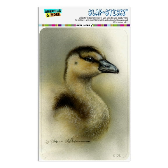 Gosling Baby Goose Geese Home Business Office Sign