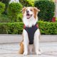 thumbnail image 5 of Ropa para mascotas Otoño Invierno - Chaleco grueso y cálido, a prueba de viento, para perros pequeños/medianos/grandes, para pasear/trotar/senderismo, 5 of 8