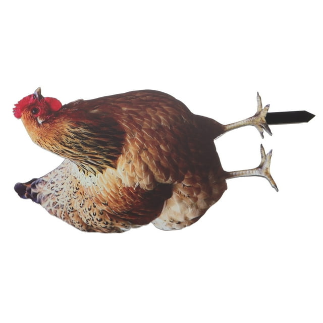 unbranded De Gallina Para Jardín En Acrílico Resistente Y Para Exteriores