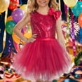 thumbnail image 5 of HXWCHs Robe en Tulle Filles Couleur Unie Sans Manches Robe de Soirée avec Col Rond et Jupe Fluide pour Spectacles Vin 8-10 Ans, 5 of 5