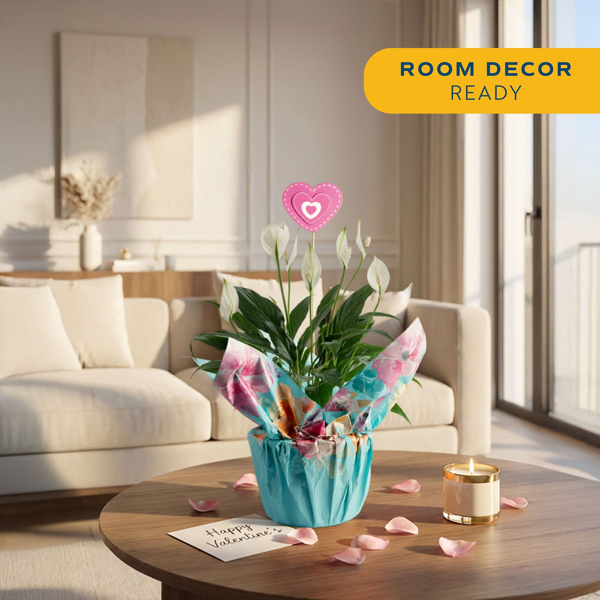 Costa Farms Live Indoor 15in. Peace Lily, Decor Pot