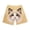 Beige-2, variant on Cute Bog Cat Print Shorts for Men Women Summer Casual Lightweight Elastic Waist Loose Novelty Graphic Shorts