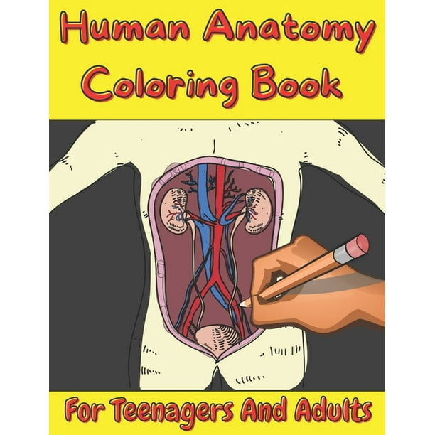 Download Human Anatomy Coloring Book For Teenagers And Adults Easy Way To Learn About Human Body Paperback Walmart Com Walmart Com