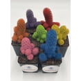 thumbnail image 2 of Colored Cactus / Desert Gem / Painted Dyed Blue / Red / Purple / Yellow / Pink / Green, Orange Cactus Rainbow Cactus, 2 of 9