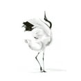 thumbnail image 2 of Shefranov, Olga 15x18 Gold Ornate Wood Framed with Double Matting Museum Art Print Titled - Dancing Bird I, 2 of 4