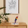 Amosfun Parrot Perch Stand Wooden Light Brown Bird Playground with Tray ...