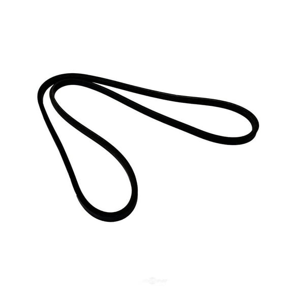 Continental 15501 V-belt