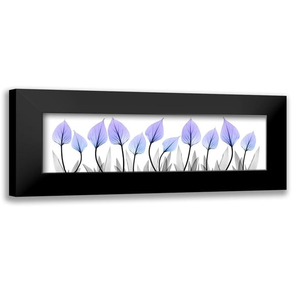 Koetsier, Albert 14x7 Black Modern Framed Museum Art Print Titled - Ultra Violet Growth