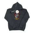 thumbnail image 1 of Harry Potter Boys Gryffindor Distressed Crest Hoodie, 1 of 3