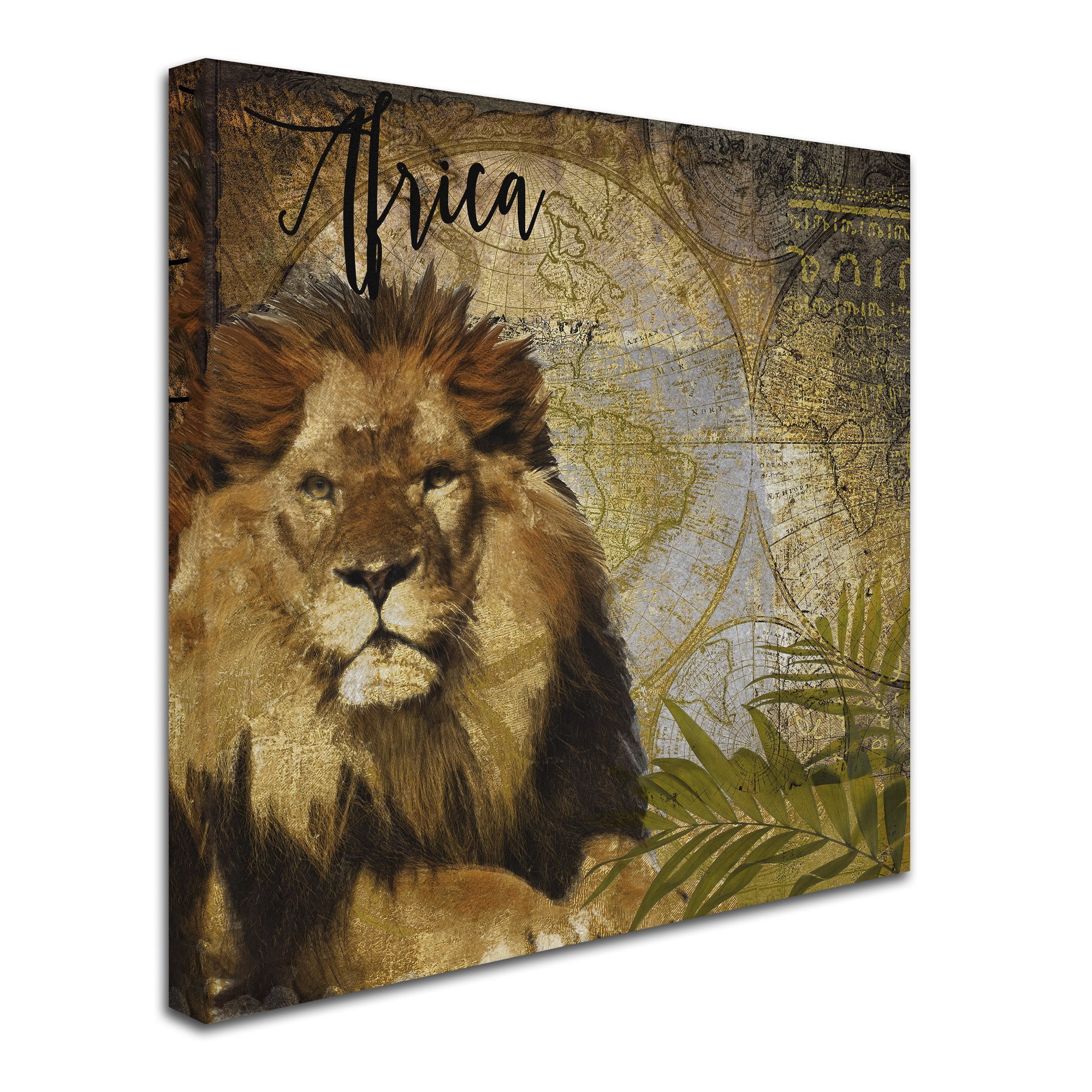 Trademark Fine Art "Taste Of Africa I" Canvas Art by Color Bakery