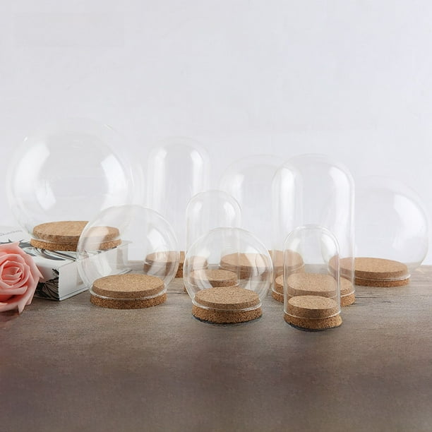 Funda de cristal con forma de flor eterna, funda de corcho transparente, regalo de San Valentín, adornos de escritorio