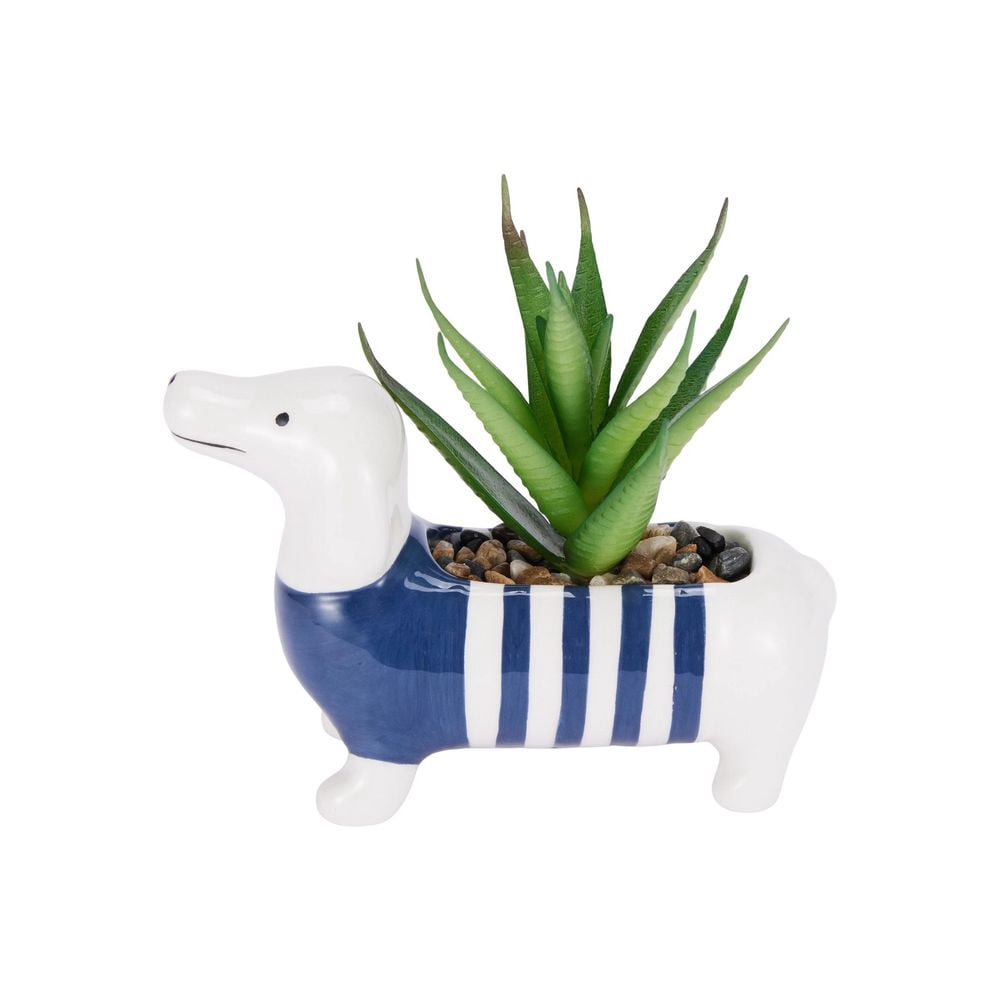 Anko Dachshund Mini Succulent