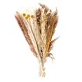 thumbnail image 2 of 70 piezas de decoración de hierba seca natural, hierba pomposa alta, arreglo de jarrón, decoración bohemia, florales, ramo Colco Hierba de pampa seca, 2 of 8
