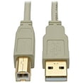 thumbnail image 1 of Câble USB Haute Vitesse 6 Pieds avec USB-A vers USB-B Beige, 1 of 1