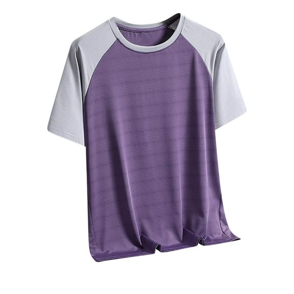 Workout Shirt for Men Ice Silk Quick Drt Short Sleeve Active Athletic Summer Gym Shirt Purple XXL