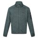 thumbnail image 1 of Regatta - Forro Polar Newhill de Jaspeada para Hombre (Pino Marino), 1 of 6