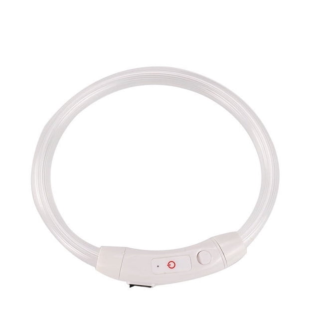 TIMIFIS Fournitures pour Chiens Collier LED Rechargeable USB pour Chiens - Automne/hiver