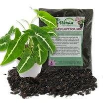 Syngonium Black Velvet and Soil Mix Combo - Live Plant in a 4 Inch Pot with 1 Quart Houseplant Soil Mix -Syngonium Wendlandii with Custom Soil Blend