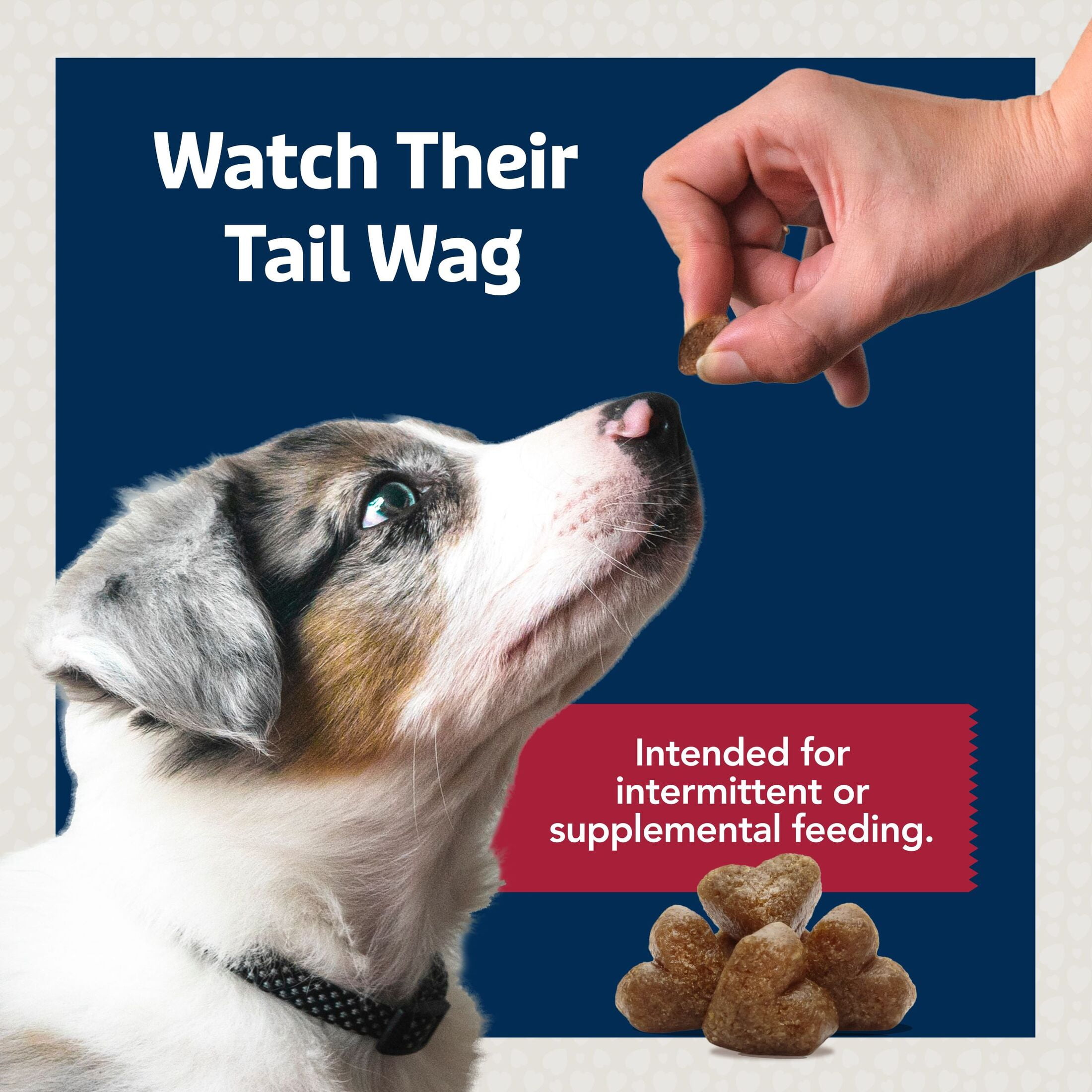 Blue Buffalo Bits Natural Soft Moist To Go Dog Training Treats Beef Recipe Bags
