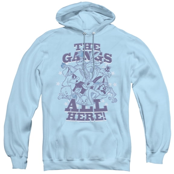 Looney Tunes - Blue Gang - Pull-Over Hoodie - XX-Large